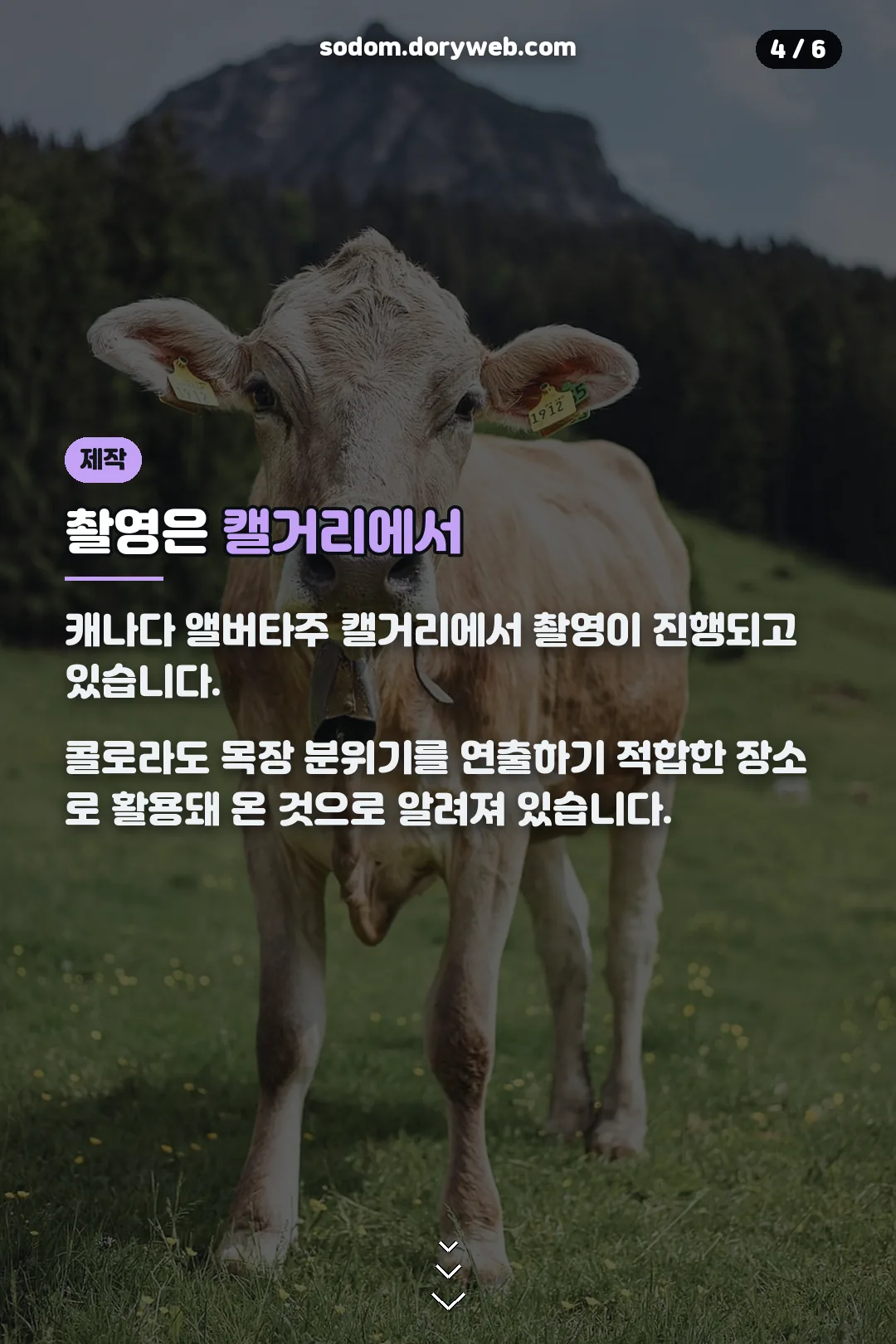 캘거리 촬영 현황