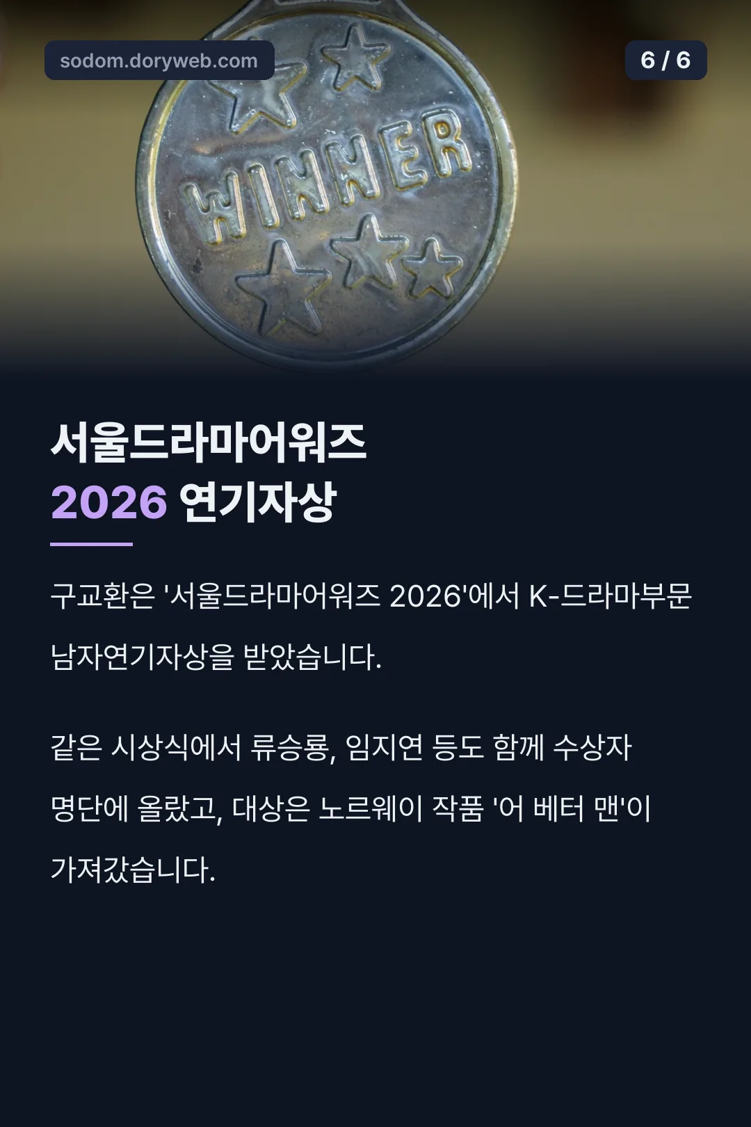 서울드라마어워즈 수상